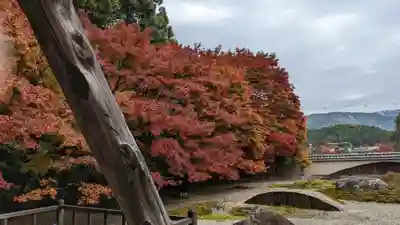 実相院門跡の景色