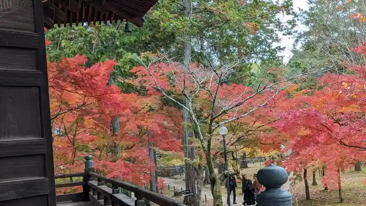 真正極楽寺(真如堂)(京都府)