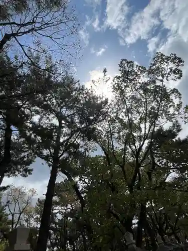西宮神社(兵庫県)