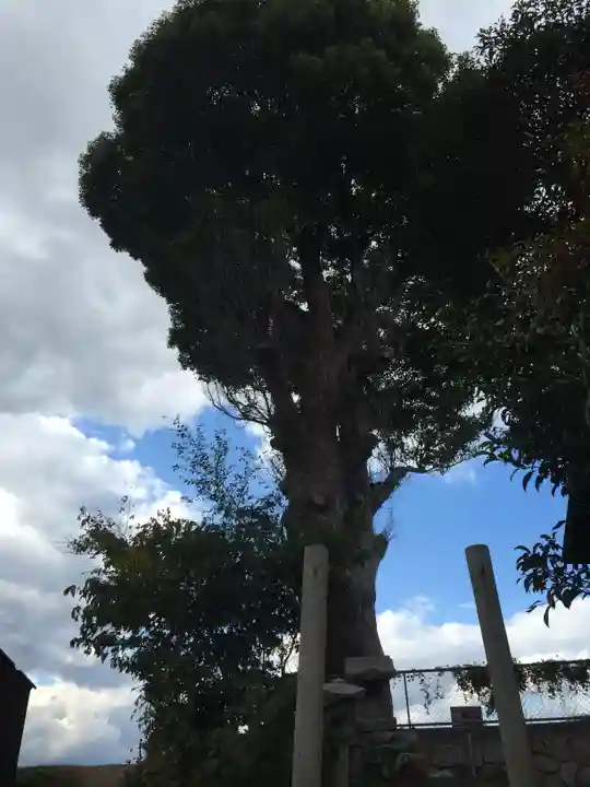 伊勢神社の自然