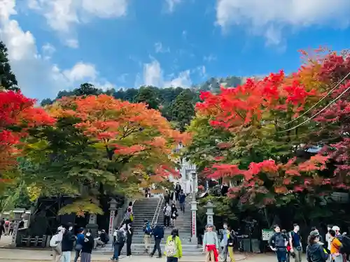 大山阿夫利神社(神奈川県)