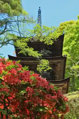 国宝 大法寺(長野県)