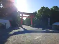 宇佐神宮(大分県)