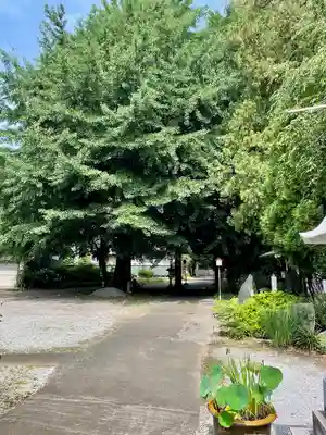 寳光院(栃木県)