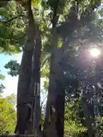 諏訪神社の自然