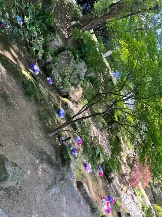 宝満宮竈門神社の{uncategorized: "未分類", other: "その他", undefined: "問題あり", building: "その他建物", grave: "お墓", sacred_gate: "鳥居", guardian: "狛犬", statue: "像", buddha: "仏像", history: "歴史", nature: "自然", garden: "庭園", animal: "動物", pagoda: "塔", temizu: "手水舎", mountain_gate: "山門・神門", sanctuary: "本殿・本堂", subordinate: "末社・摂社", art: "芸術", scenery: "景色", jizo: "地蔵", ema: "絵馬", goshuin: "御朱印", omikuji: "おみくじ", items: "授与品その他", amulet: "お守り", goshuincho: "御朱印帳", eats: "食事", festival: "お祭り", votive_dance: "神楽", shichigosan: "七五三参", wedding: "結婚式", experience: "体験その他", initially: "初詣", around: "周辺", anti_infection: "感染症対策"}