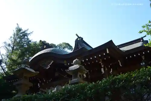 相模国総社六所神社の本殿・本堂
