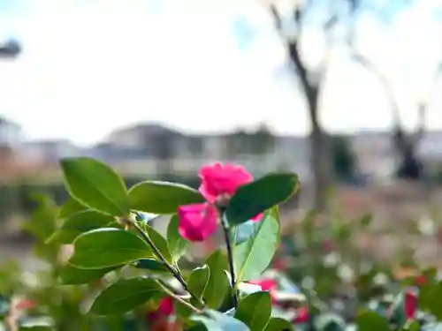 縣諏訪神社(長野県)