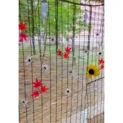 彌彦神社　(伊夜日子神社)の芸術