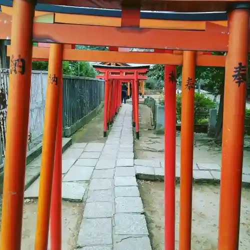 根津神社の鳥居