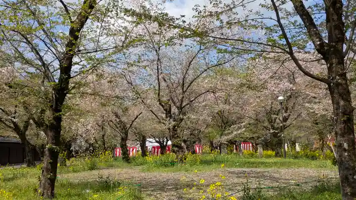 平野神社(京都府)