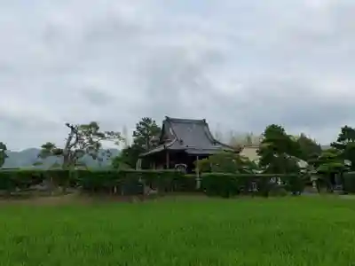 円明院の本殿・本堂