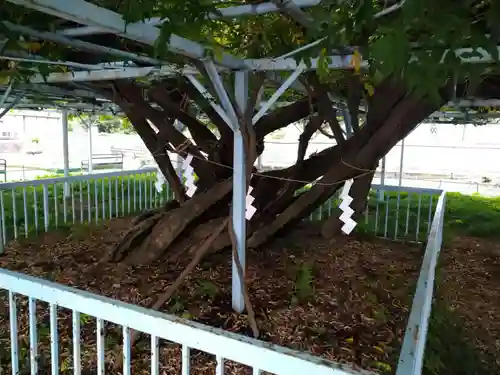 菖蒲神社の庭園