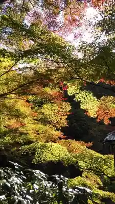 吟松寺のその他建物