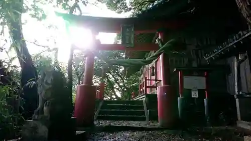 多岐神社の鳥居