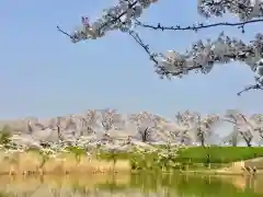 蛇池神社の自然