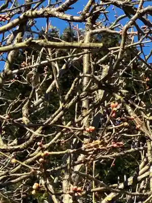 大生郷天満宮(茨城県)