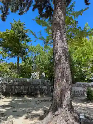 御建神社(広島県)