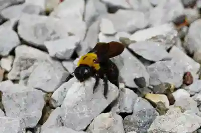 蓮久寺(千葉県)