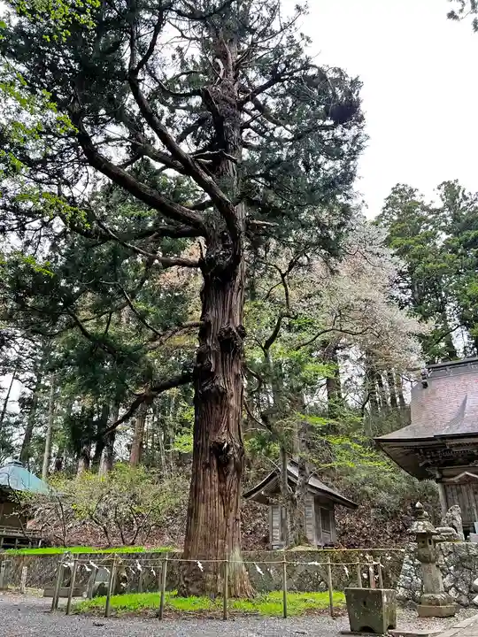 配志和神社の自然