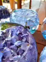 伊達神社の動物