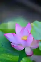 浄土寺(兵庫県)