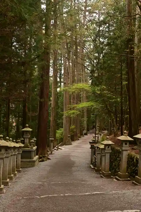 三峯神社(埼玉県)