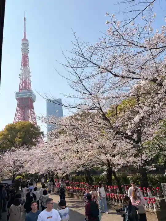 増上寺の{uncategorized: "未分類", other: "その他", undefined: "問題あり", building: "その他建物", grave: "お墓", sacred_gate: "鳥居", guardian: "狛犬", statue: "像", buddha: "仏像", history: "歴史", nature: "自然", garden: "庭園", animal: "動物", pagoda: "塔", temizu: "手水舎", mountain_gate: "山門・神門", sanctuary: "本殿・本堂", subordinate: "末社・摂社", art: "芸術", scenery: "景色", jizo: "地蔵", ema: "絵馬", goshuin: "御朱印", omikuji: "おみくじ", items: "授与品その他", amulet: "お守り", goshuincho: "御朱印帳", eats: "食事", festival: "お祭り", votive_dance: "神楽", shichigosan: "七五三参", wedding: "結婚式", experience: "体験その他", initially: "初詣", around: "周辺", anti_infection: "感染症対策"}