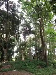 息栖神社の周辺