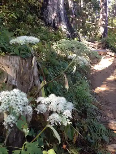 武蔵御嶽神社の庭園