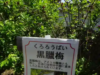 正一位霊験稲荷社のその他建物