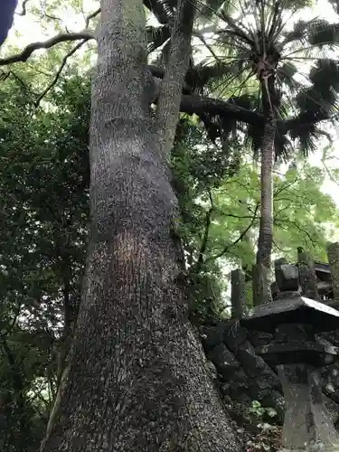 霧島神社のその他建物