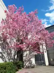 寛永寺(根本中堂)の周辺