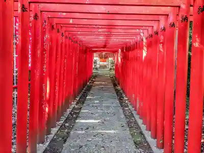 白山神社(木曽川町黒田)の鳥居