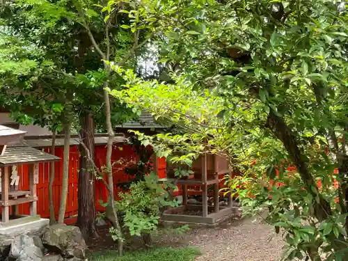 許波多神社（五ケ庄鎮座）の自然