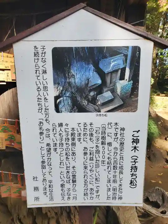 胎安神社の歴史