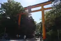 川越氷川神社(埼玉県)