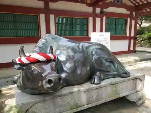 太宰府天満宮(福岡県)