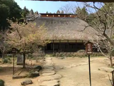 大雄寺の本殿・本堂