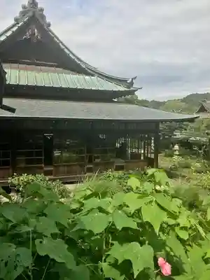 東慶寺(神奈川県)