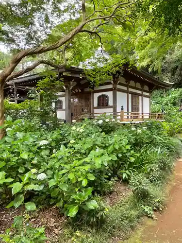 妙楽寺のその他建物