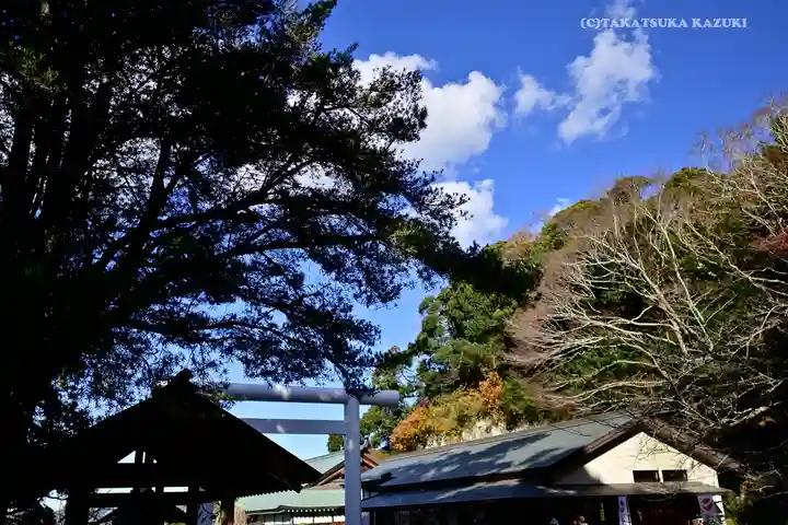 安房神社(千葉県)