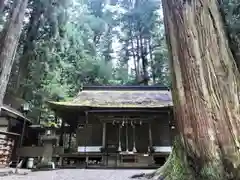 室生龍穴神社の建物その他