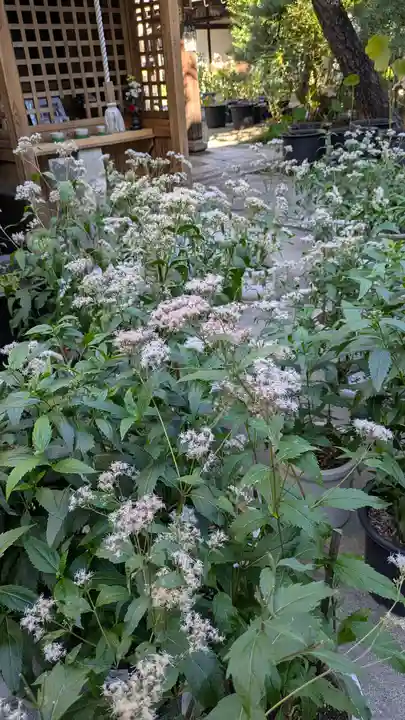 行願寺(革堂)(京都府)