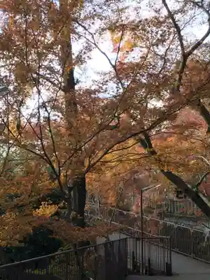 清水寺(京都府)