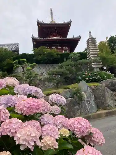 長慶寺(大阪府)
