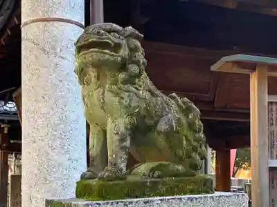 白雲神社の狛犬