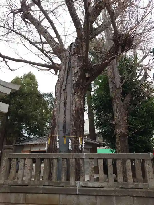 稲荷神社(東京都)