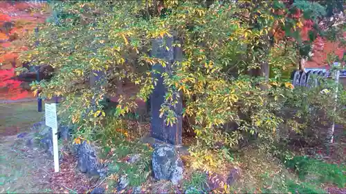 東漸寺のその他建物