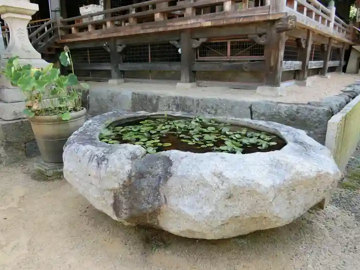 水間寺の自然
